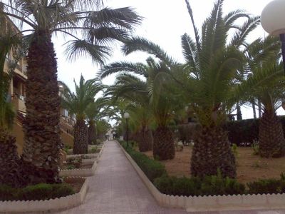 Piso en Torrevieja, España, 76 m² - imagen 4