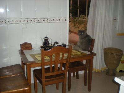 Appartamento a Alicante, Spagna, 127 m² - foto 7