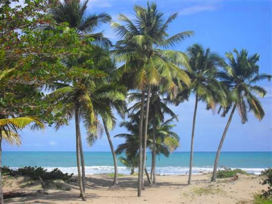 Mansion in Cabarete, Dominikanische Republik, 350 m² - Foto 8