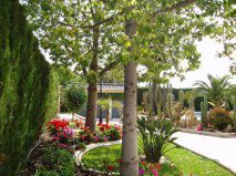 Villa à Alicante, Espagne, 310 m² - image 3