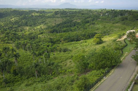 Terreno a Sosua, Repubblica Dominicana, 3 130 m2 - foto 10
