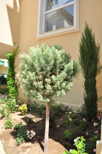 Appartamento a Ravda, Bulgaria, 60 m² - foto 15