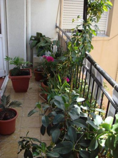 Piso en Alicante, España, 80 m² - imagen 10