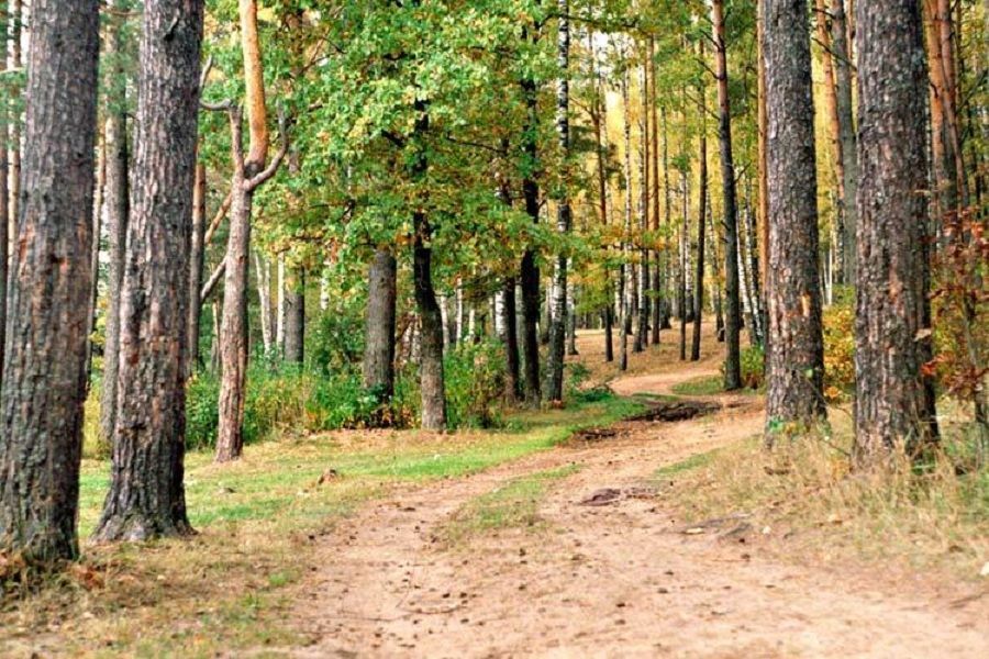 Piso en Primorsko, Bulgaria, 60 m² - imagen 7