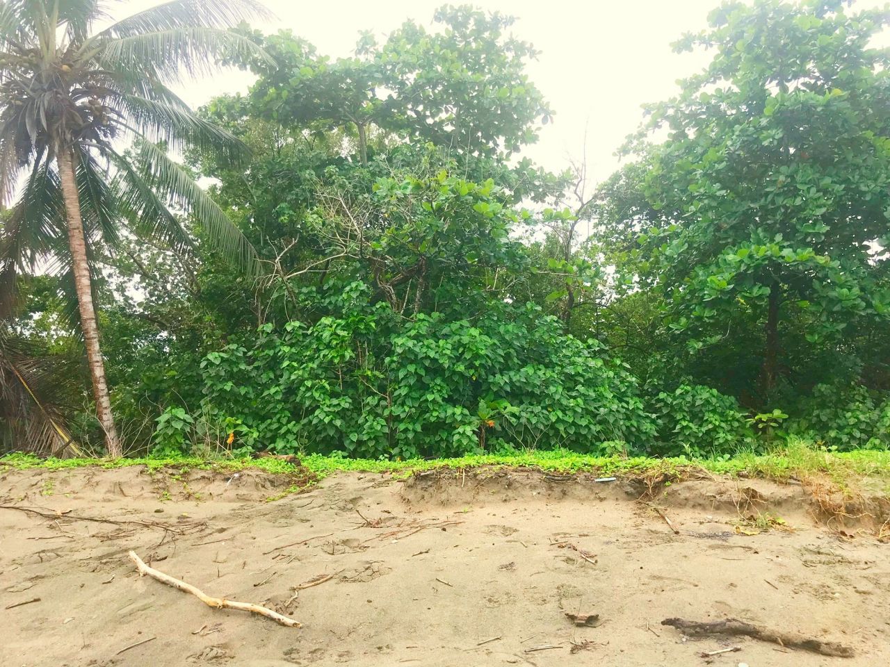 Terreno en Cabarete, República Dominicana, 8 800 m² - imagen 5