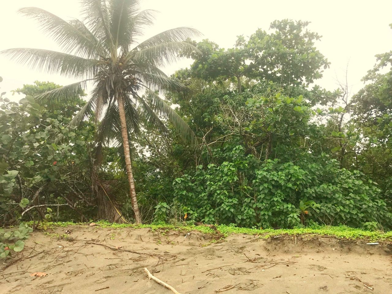 Terreno en Cabarete, República Dominicana, 8 800 m² - imagen 6