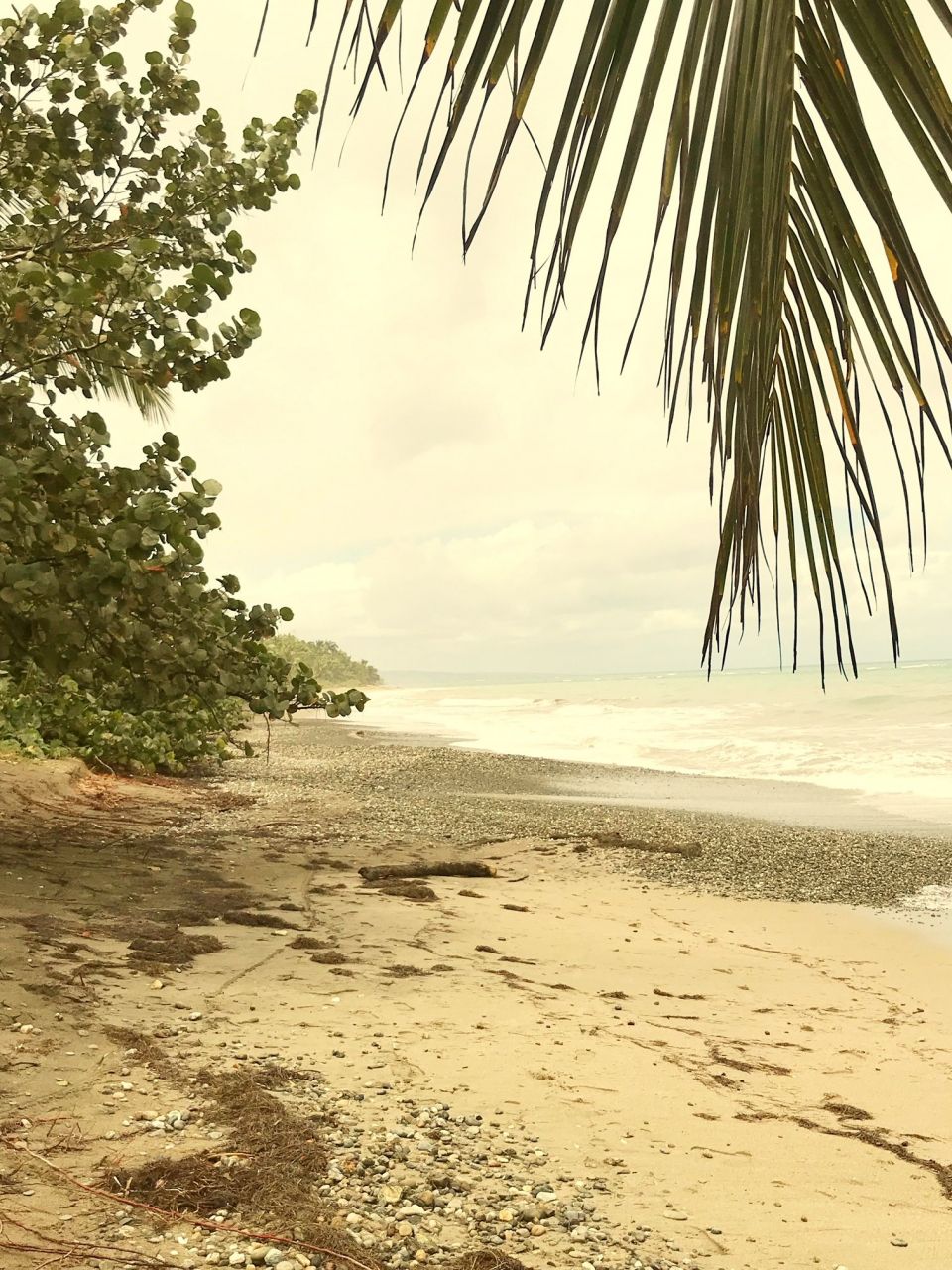 Terreno en Cabarete, República Dominicana, 8 800 m² - imagen 8