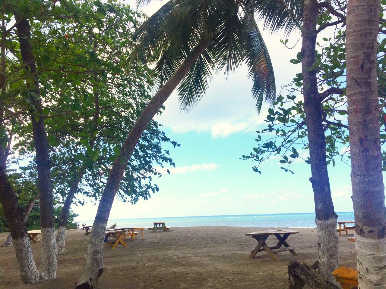 Terreno en Cabarete, República Dominicana, 8 800 m² - imagen 7