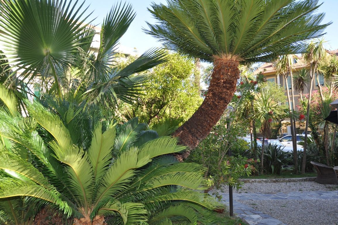 Hotel in San Remo, Italien, 1 000 m² - Foto 12