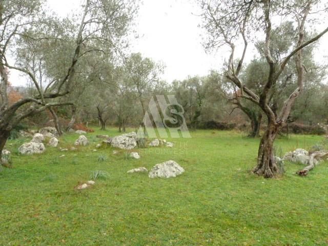 Land in Utjeha, Montenegro, 3 300 m² - picture 1