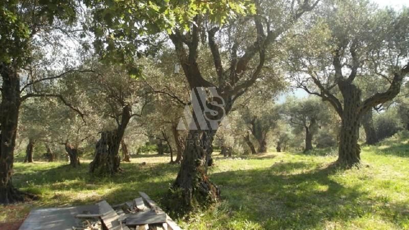 Land in Bar, Montenegro, 3 207 m² - picture 2