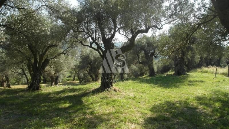 Land in Bar, Montenegro, 3 207 m² - picture 3