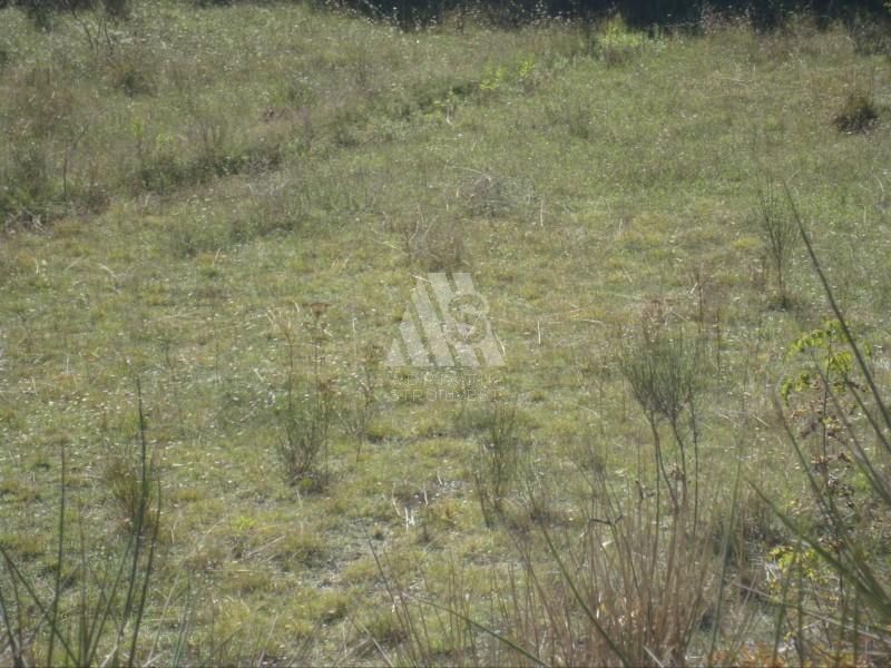 Terreno en el Bar, Montenegro, 5 000 m² - imagen 3