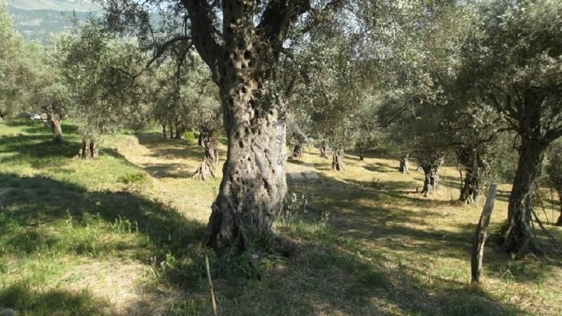 Land in Bar, Montenegro, 3 207 m² - picture 4