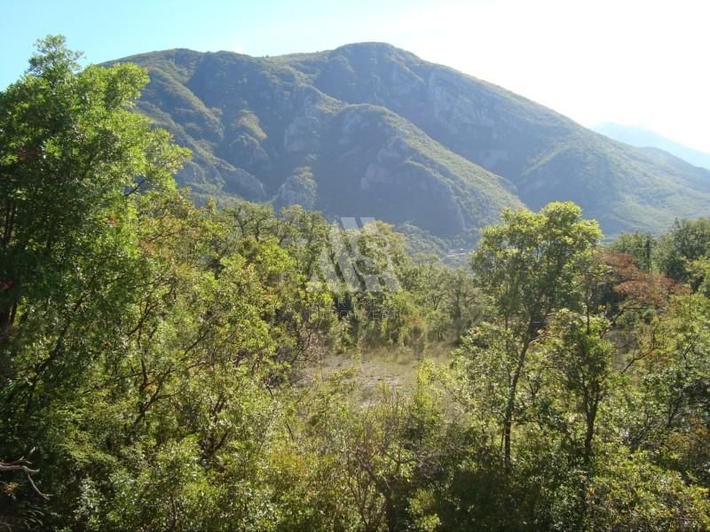 Terreno en el Bar, Montenegro, 5 000 m² - imagen 5