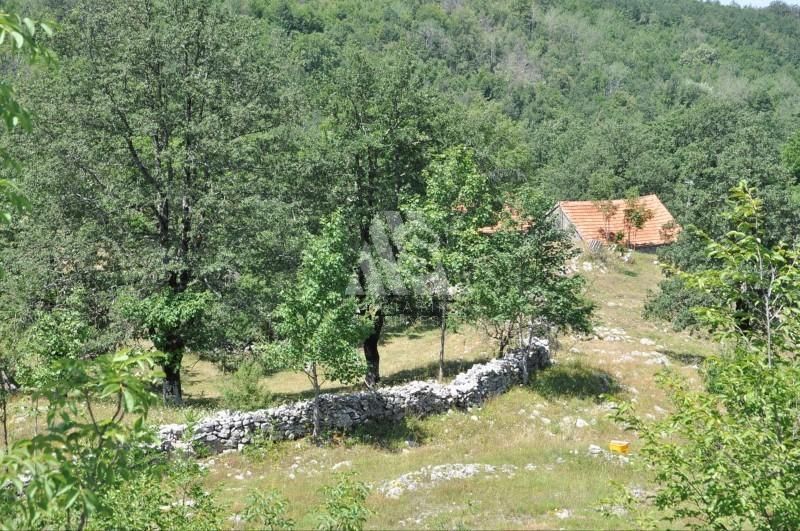 Terrain à Nikšić, Monténégro, 106 587 m² - image 7