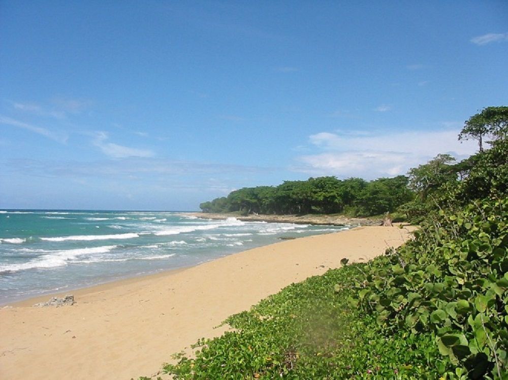 Flat in Cabarete, Dominican Republic, 58 m² - picture 11