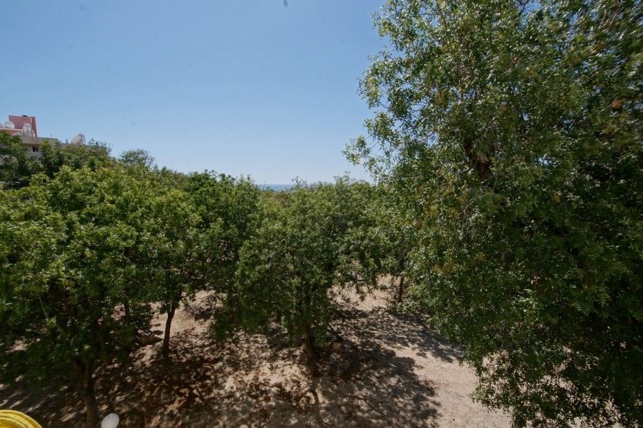 Appartement à Paphos, Chypre, 60 m² - image 5