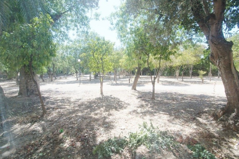 Appartement à Paphos, Chypre, 60 m² - image 11