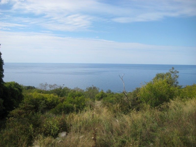 Terrain à Budva, Monténégro, 5 165 m² - image 1