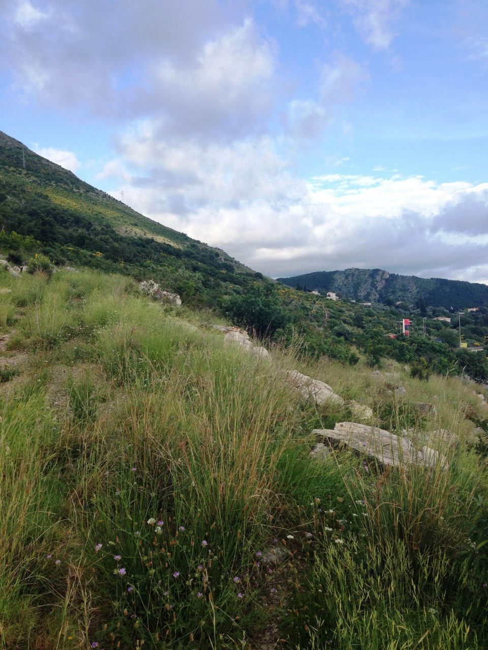 Terreno a Rezevici, Montenegro, 3 600 m2 - foto 2