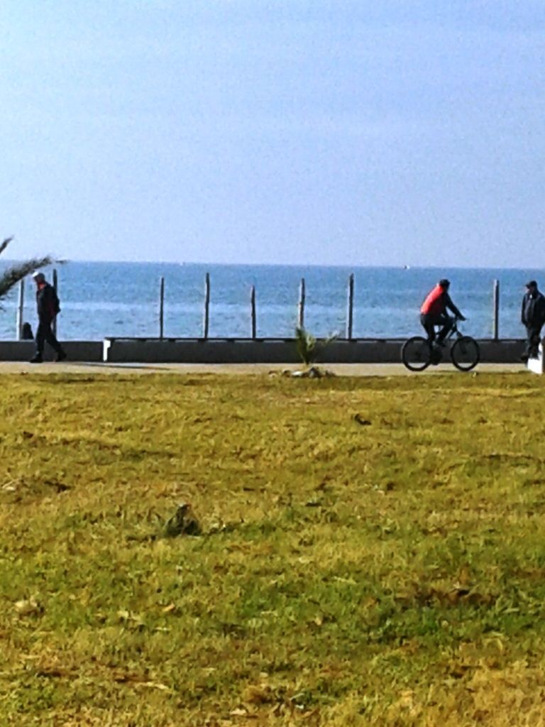 Commercial property in Bar, Montenegro - picture 2