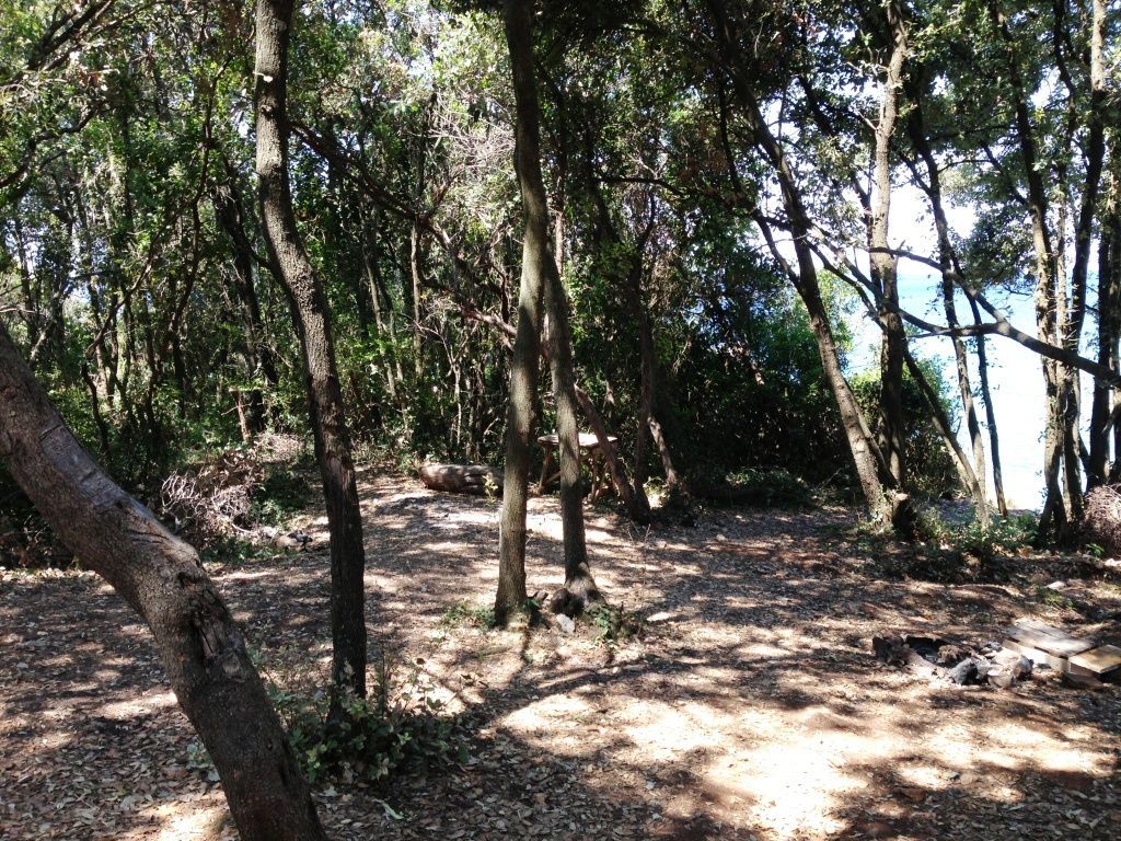 Terrain à Dobra Voda, Monténégro, 3 000 m² - image 3