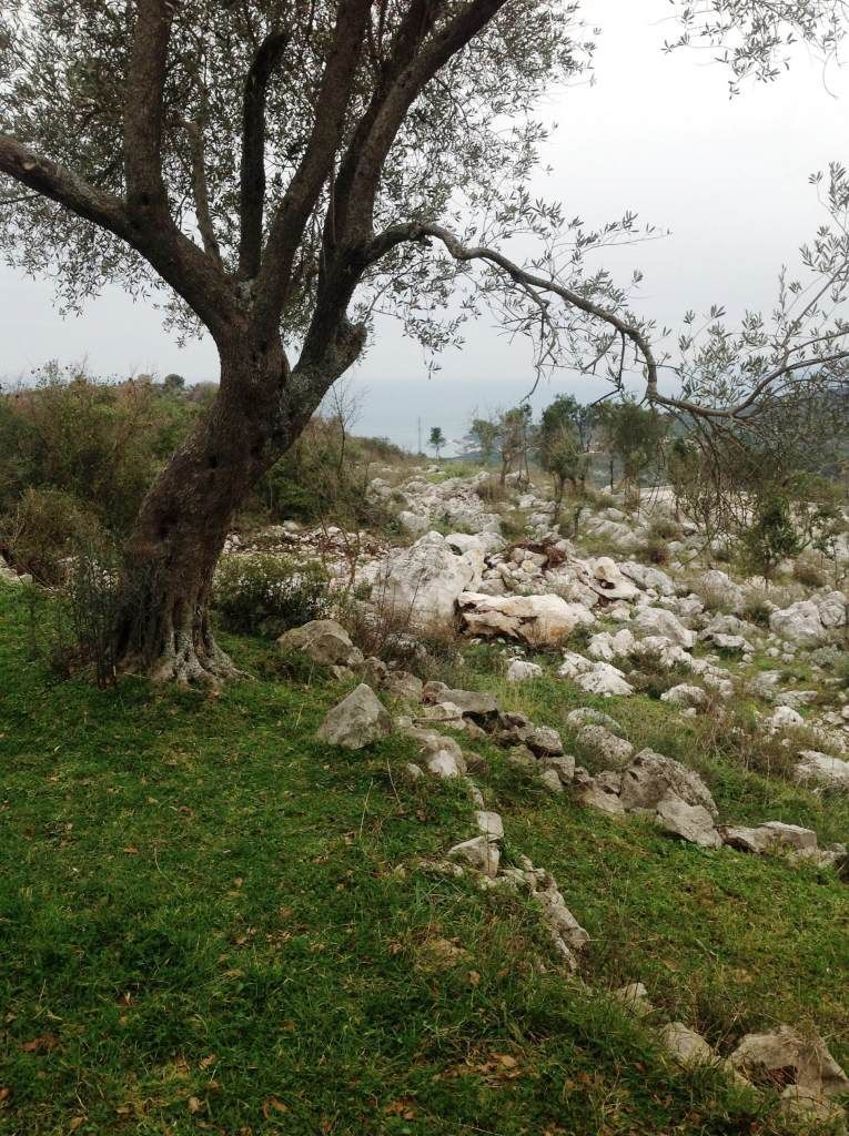 Land in Utjeha, Montenegro, 2 400 m² - picture 3