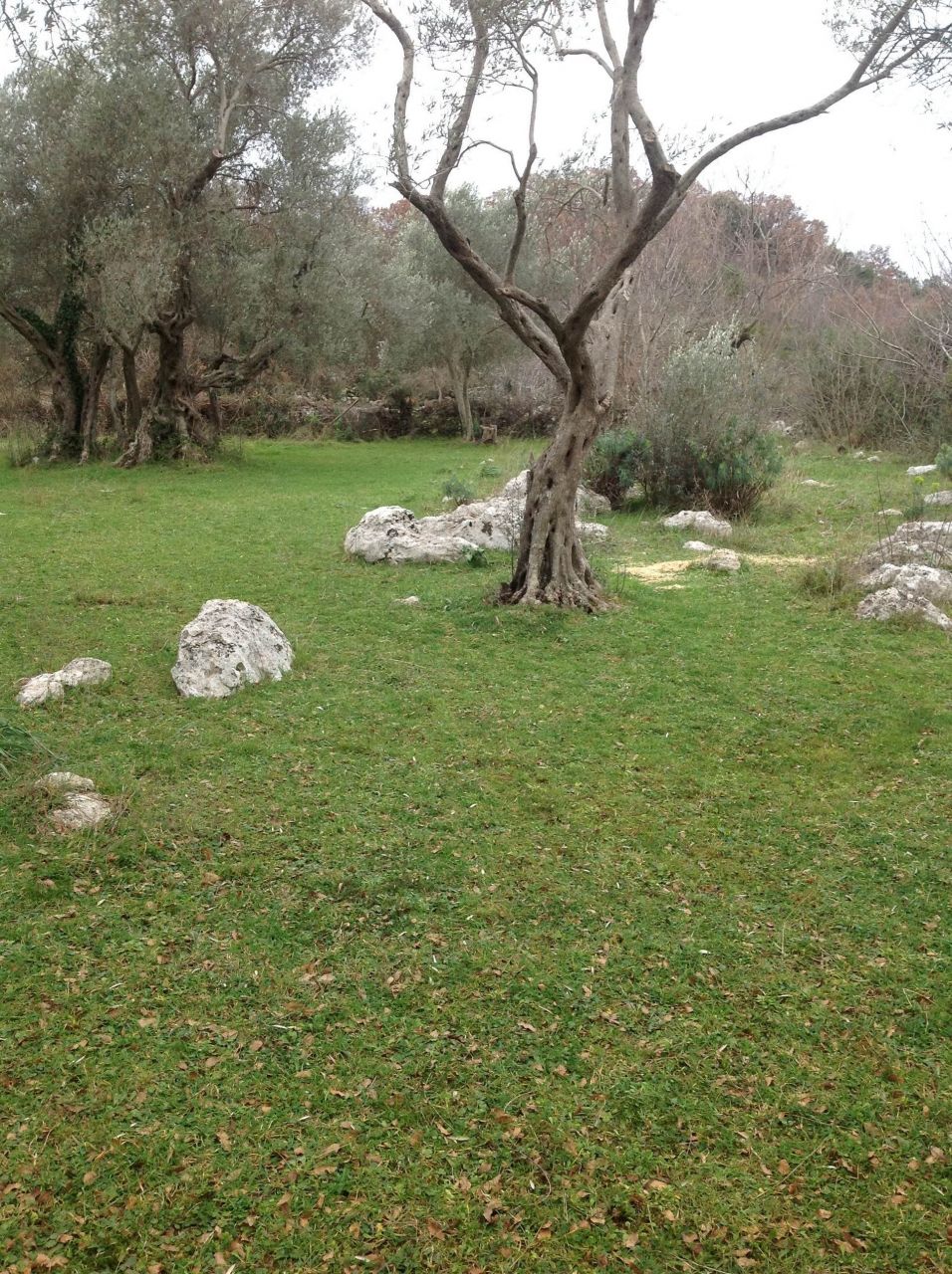 Terrain à Utjeha, Monténégro, 2 400 m² - image 2