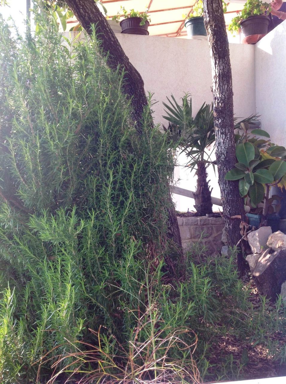 Casa a Utjeha, Montenegro, 214 m² - foto 3