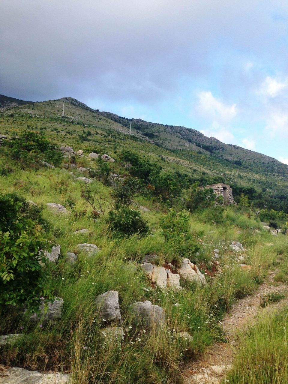 Terreno a Rezevici, Montenegro, 3 600 m2 - foto 3