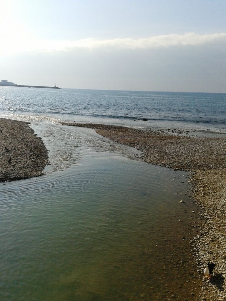 Commercial property in Bar, Montenegro - picture 3