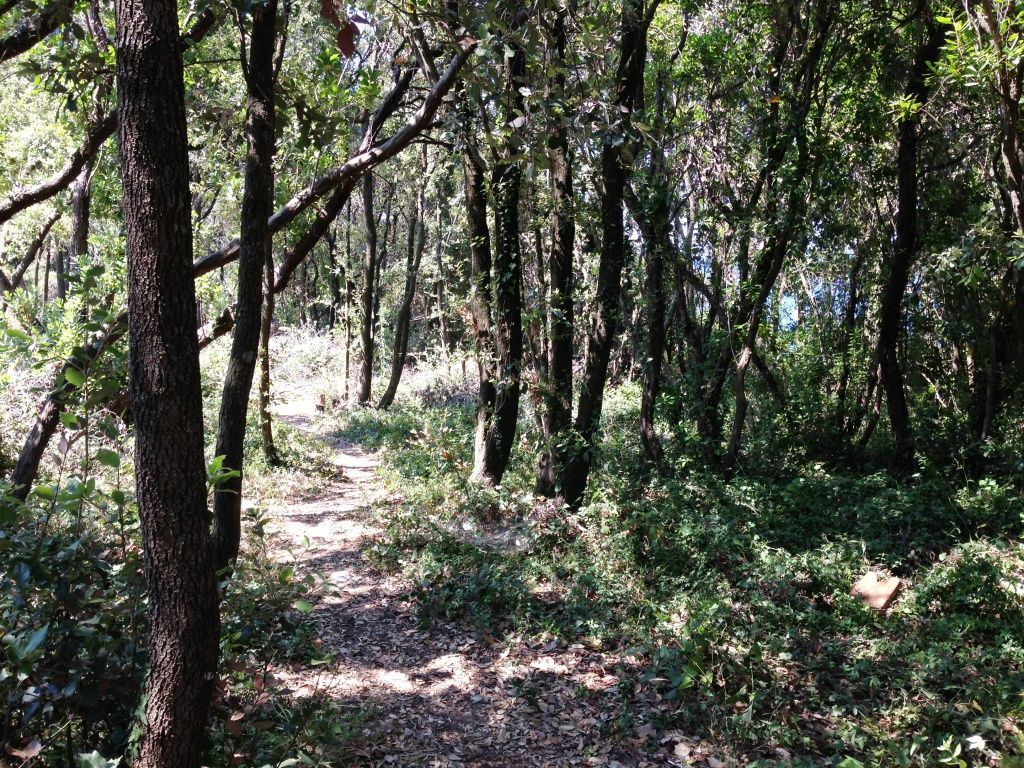 Terrain à Dobra Voda, Monténégro, 3 000 m² - image 4