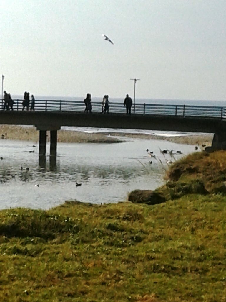 Commercial property in Bar, Montenegro - picture 4