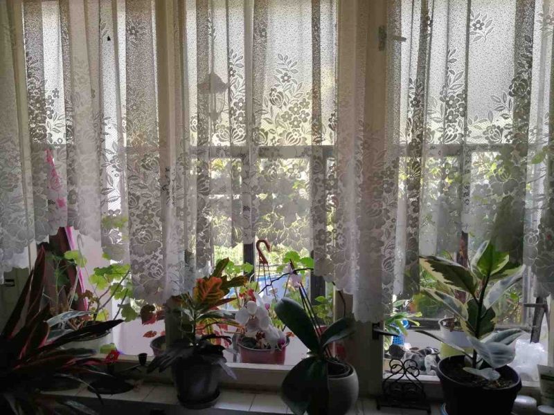 Casa en Morinj, Montenegro, 286 m² - imagen 4