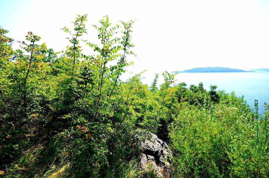 Terrain Kamenovo, Monténégro, 3 224 m² - image 2