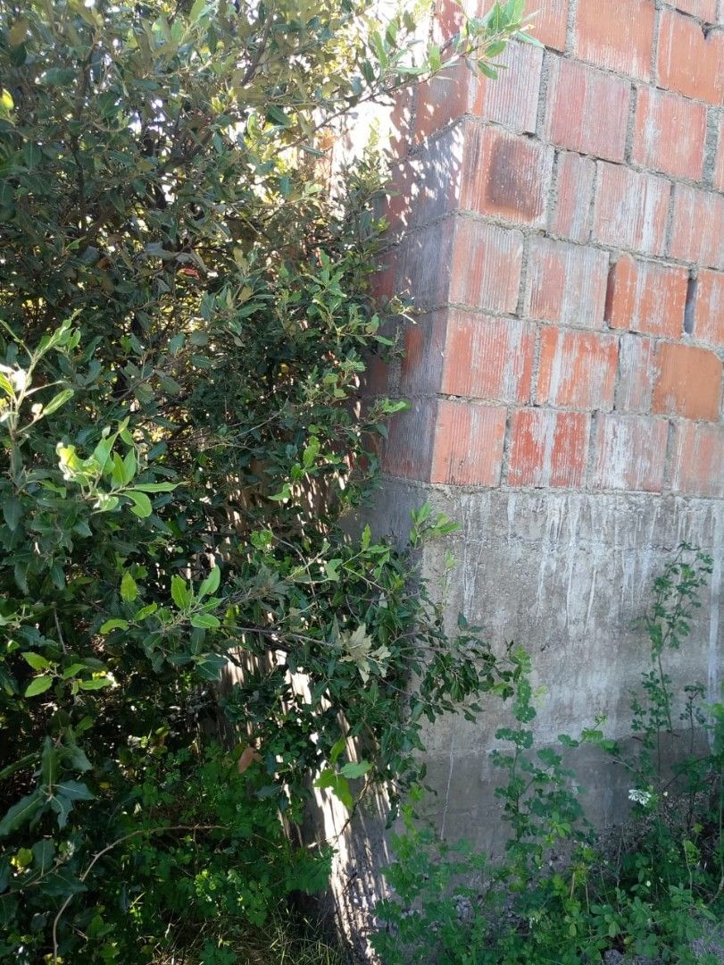 Land in Utjeha, Montenegro, 210 m² - picture 4