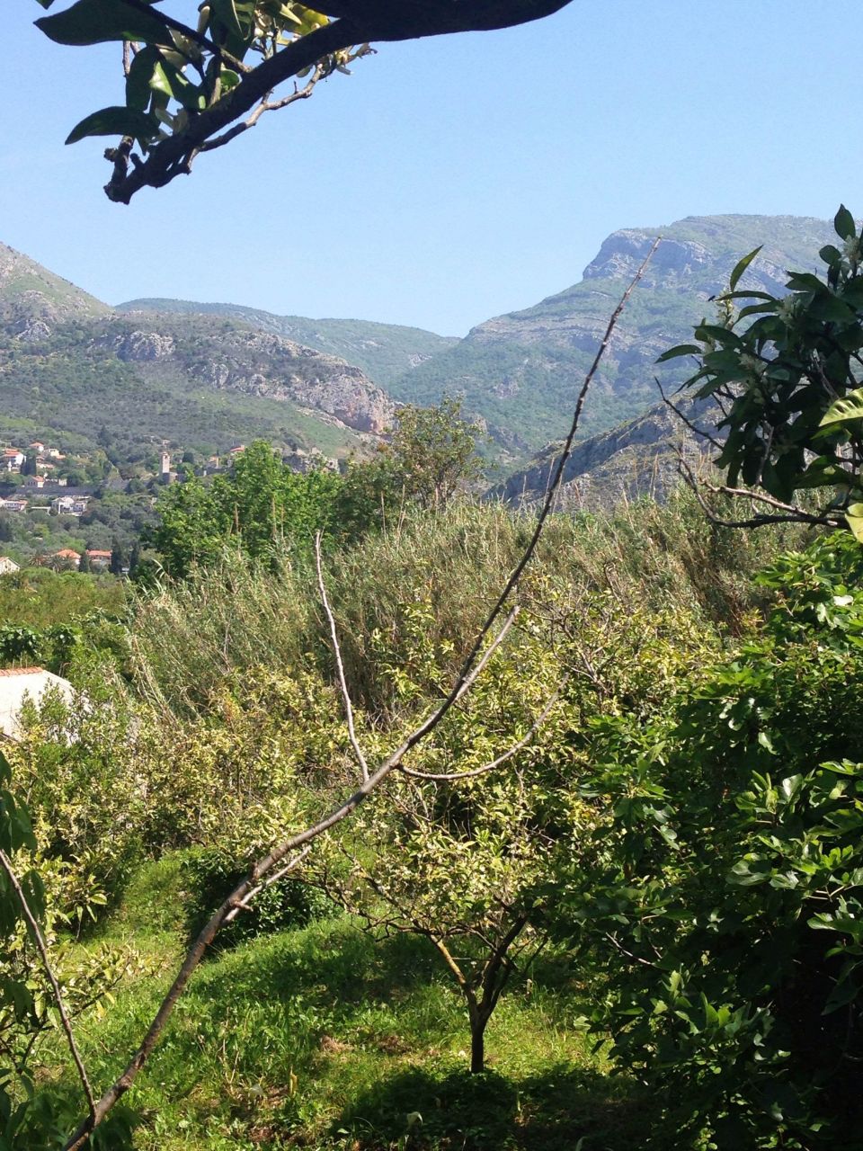 Land in Bar, Montenegro, 3 350 m² - picture 6