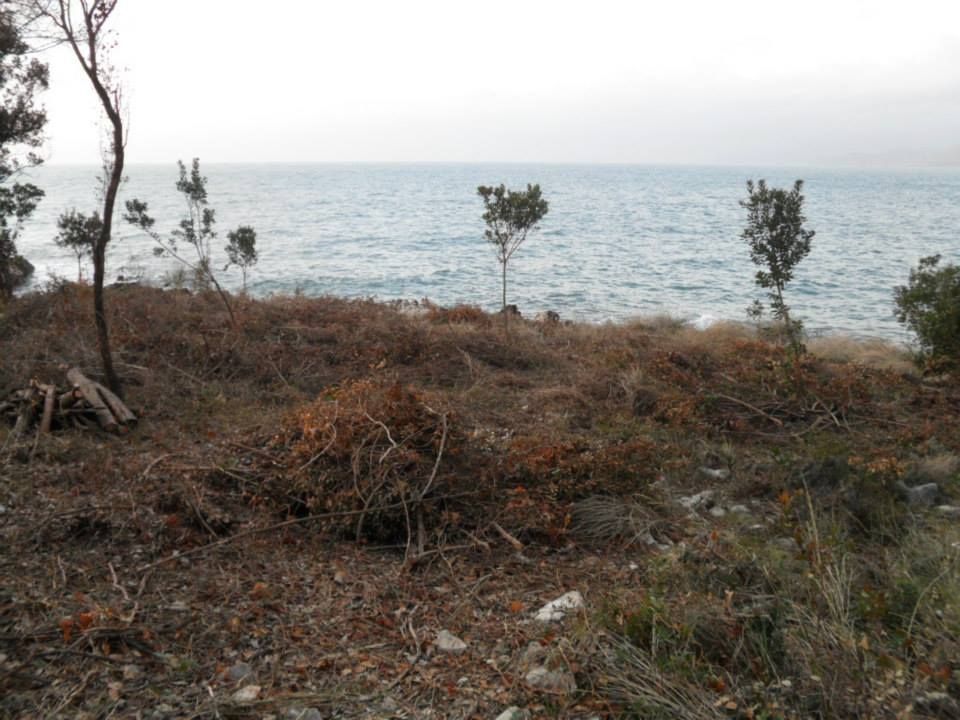 Land in Utjeha, Montenegro, 4 004 m² - picture 4