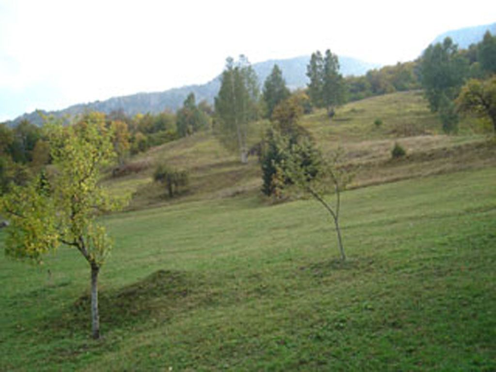 Propiedad comercial en Kolasin, Montenegro, 60 m² - imagen 7