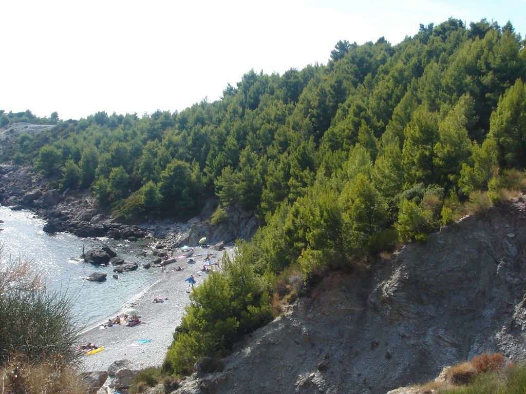 Biens commerciaux à Sutomore, Monténégro - image 8