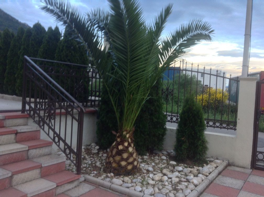 Casa a Sutomore, Montenegro, 390 m² - foto 8