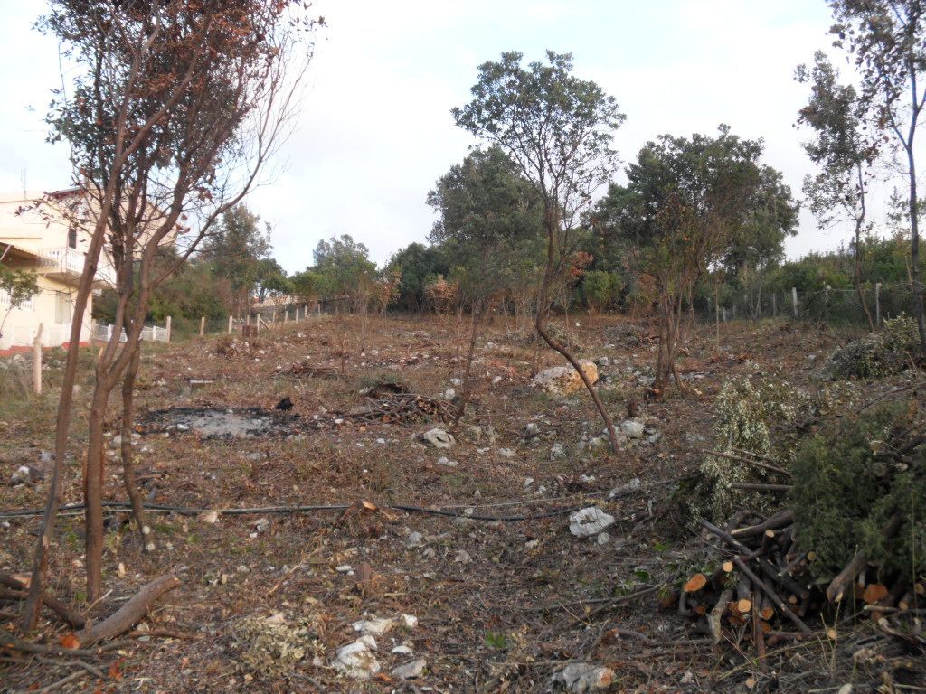 Land in Utjeha, Montenegro, 4 004 m² - picture 6