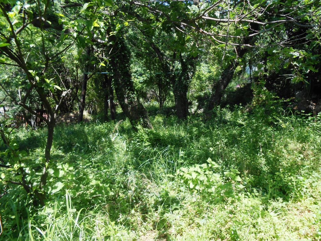 Haus in Sutomore, Montenegro, 242 m² - Foto 17