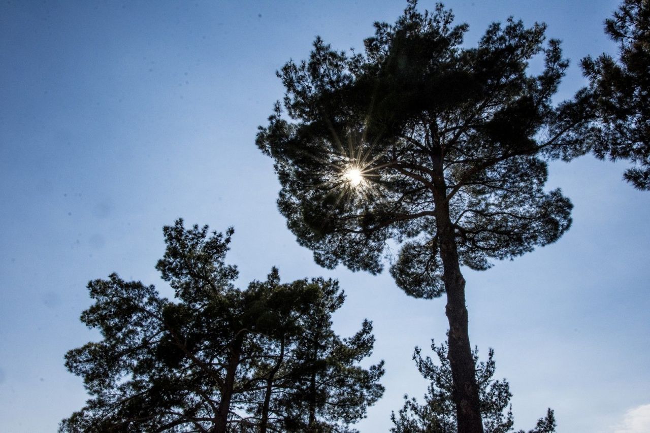 Maison à Kotor, Monténégro, 300 m² - image 5