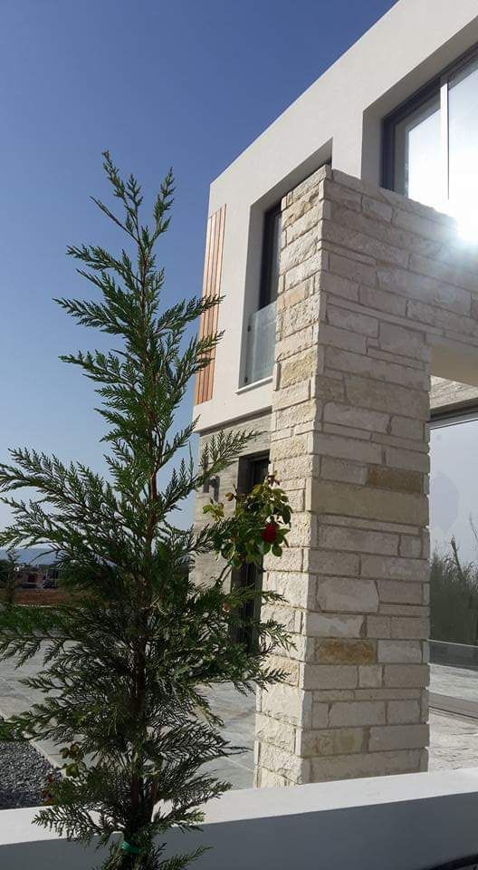 Villa in Paphos, Cyprus, 160 m² - picture 13