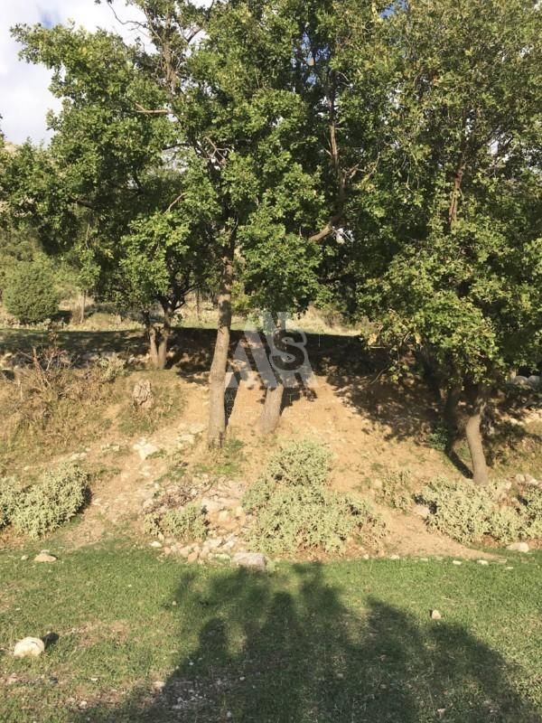 Terreno a Bar, Montenegro, 42 000 m2 - foto 17