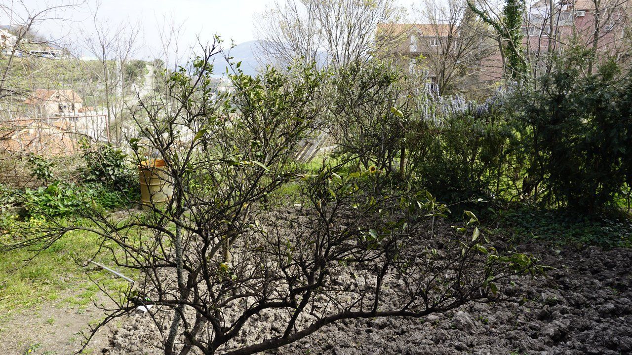 Casa en Herceg-Novi, Montenegro, 166 m² - imagen 19