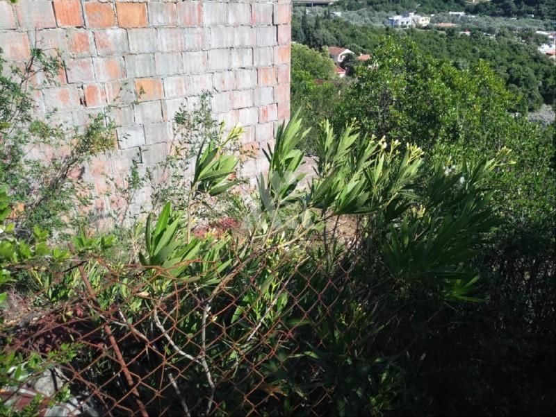Land in Utjeha, Montenegro, 210 m² - picture 4