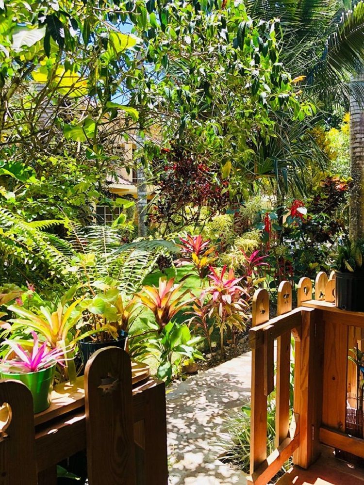 Townhouse in Cabarete, Dominican Republic, 166 m² - picture 15